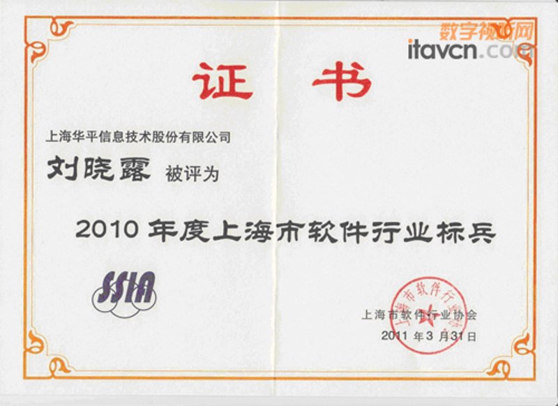 IT解决方案：推动企业数字化转型的新引擎